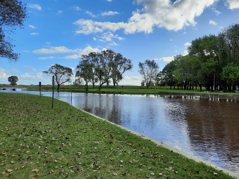 Dan detalles del pilet�n que planean en Colonia San Miguel